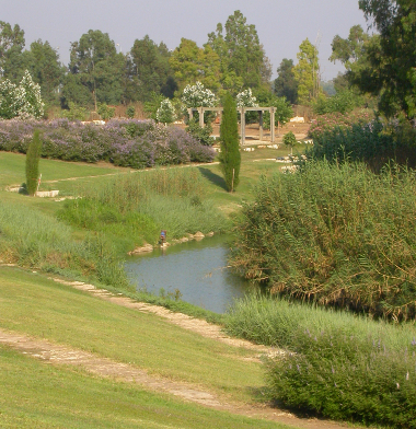 about me profile picture