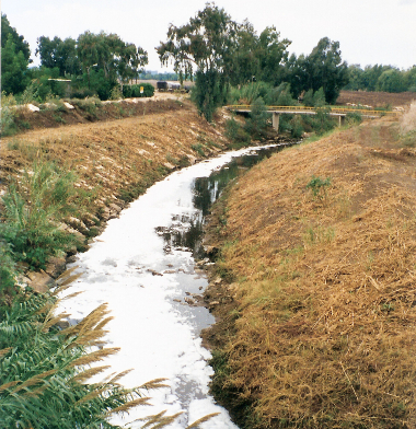 about me profile picture